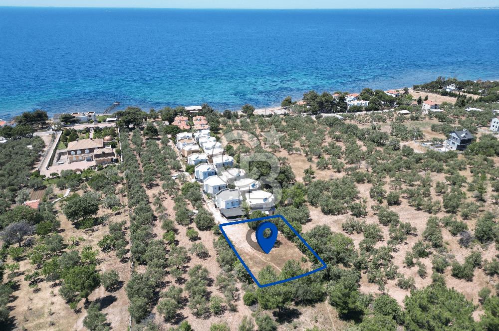 ÇANAKKALE EZİNE TAVAKLIDA 991 m² SATILIK VİLLA ARSASI