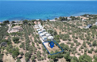 ÇANAKKALE EZİNE TAVAKLIDA 991 m² SATILIK VİLLA ARSASI