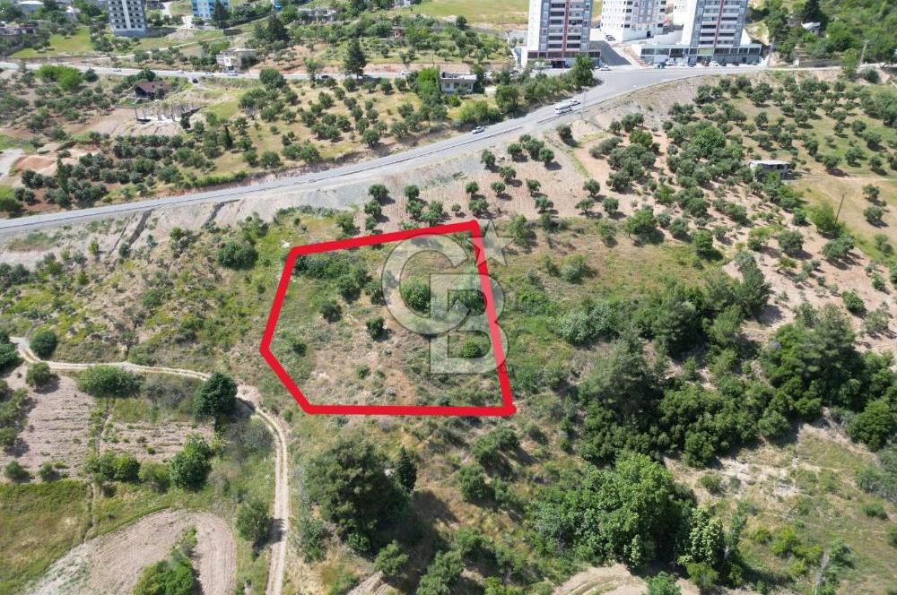 COLDWELL BANKERDEN BALLICADA MANZARALI SATILIK KONUT İMARLI ARSA