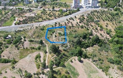 COLDWELL BANKERDEN BALLICADA MANZARALI SATILIK KONUT İMARLI ARSA