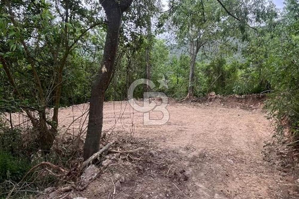 BİLECİK, GÖLPAZARI, SÖĞÜTÇÜK MEVKİNDE EV YAPIMINA UYGUN 225 M2 ARSA