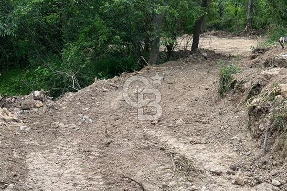 BİLECİK, GÖLPAZARI, SÖĞÜTÇÜK MEVKİNDE EV YAPIMINA UYGUN 225 M2 ARSA