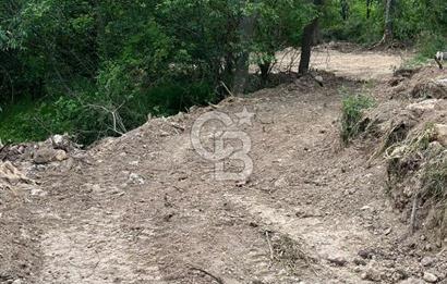 BİLECİK, GÖLPAZARI, SÖĞÜTÇÜK MEVKİNDE EV YAPIMINA UYGUN 225 M2 ARSA
