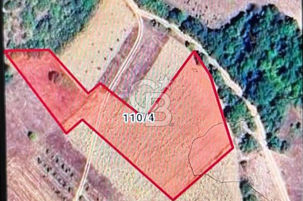 SATILIK 4.417 m² TARLA – SÖĞÜTÇÜK KÖYÜ / GÖLPAZARI / BİLECİK 