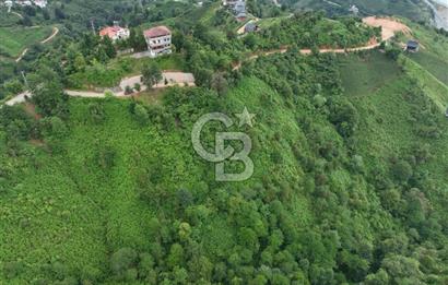 Rize Ardeşende 4 parsel satılık fındık bahçesi