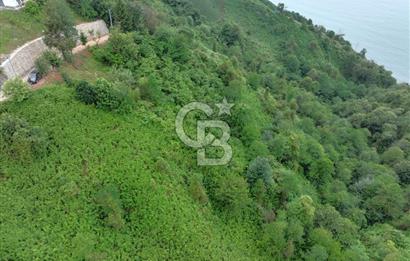 Rize Ardeşende 4 parsel satılık fındık bahçesi