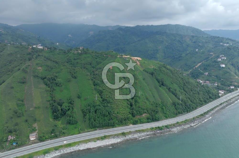 Rize Ardeşende 4 parsel satılık fındık bahçesi