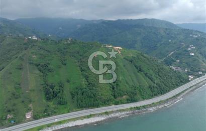 Rize Ardeşende 4 parsel satılık fındık bahçesi