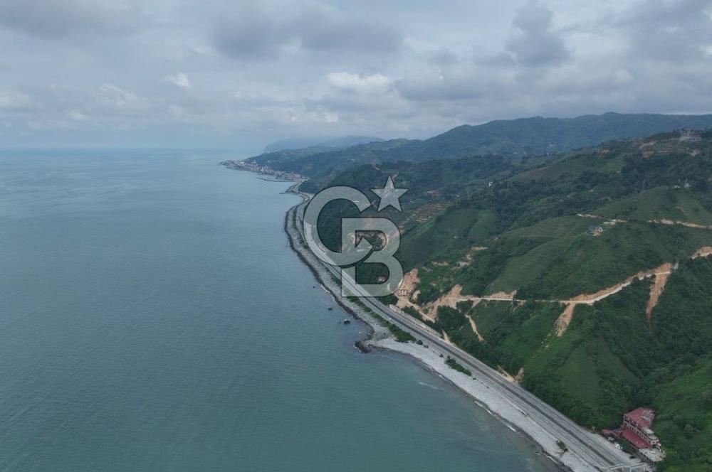 Rize Ardeşende 4 parsel satılık fındık bahçesi