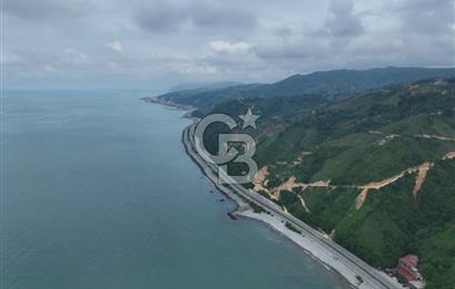 Rize Ardeşende 4 parsel satılık fındık bahçesi