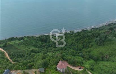 Rize Ardeşende 4 parsel satılık fındık bahçesi