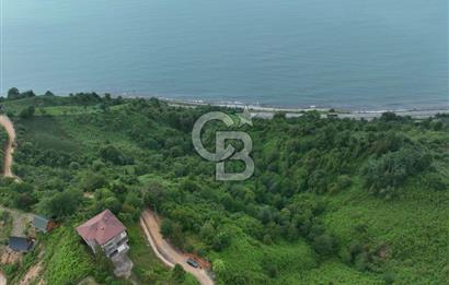 Rize Ardeşende 4 parsel satılık fındık bahçesi