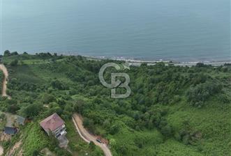 Rize Ardeşende 4 parsel satılık fındık bahçesi