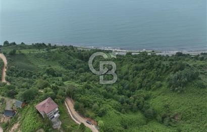 Rize Ardeşende 4 parsel satılık fındık bahçesi