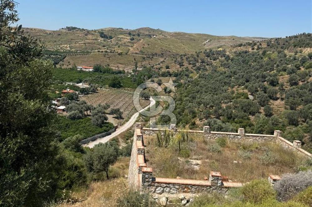 SEFERİHİSAR MERKEZE 1 KM MANZARALI KUPON ZEYTİNLİK! KOCAÇAY PROJESİNE KOMŞU