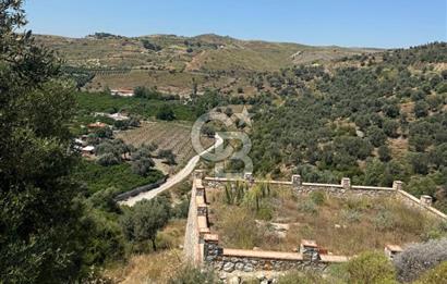 SEFERİHİSAR MERKEZE 1 KM MANZARALI KUPON ZEYTİNLİK! KOCAÇAY PROJESİNE KOMŞU