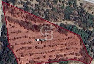 SEFERİHİSAR MERKEZE 1 KM MANZARALI KUPON ZEYTİNLİK! KOCAÇAY PROJESİNE KOMŞU
