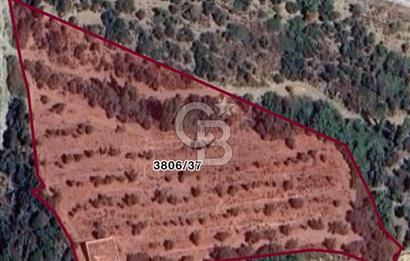 SEFERİHİSAR MERKEZE 1 KM MANZARALI KUPON ZEYTİNLİK! KOCAÇAY PROJESİNE KOMŞU