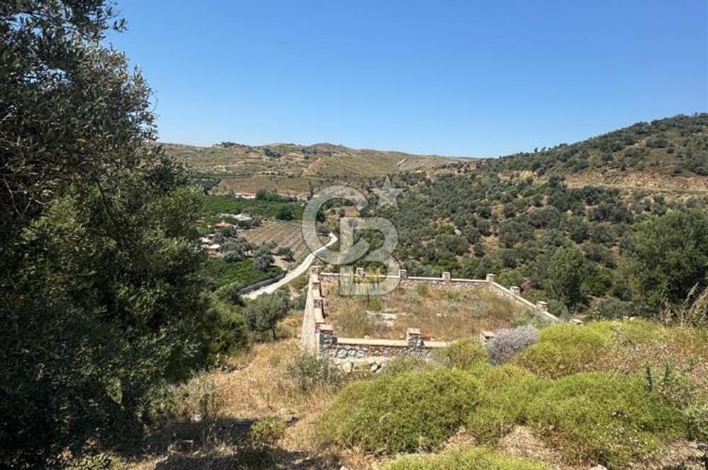 SEFERİHİSAR MERKEZE 1 KM MANZARALI KUPON ZEYTİNLİK! KOCAÇAY PROJESİNE KOMŞU