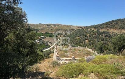 SEFERİHİSAR MERKEZE 1 KM MANZARALI KUPON ZEYTİNLİK! KOCAÇAY PROJESİNE KOMŞU