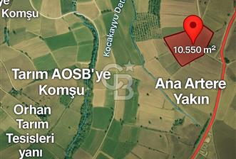 YENİŞEHİR TARIM AOSBLERE KOMŞU YATIRIMA UYGUN 10.550M2 TARLA 