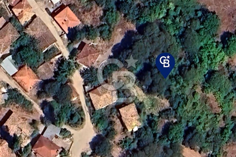 SATILIK 4.417 m² TARLA – SÖĞÜTÇÜK KÖYÜ / GÖLPAZARI / BİLECİK 