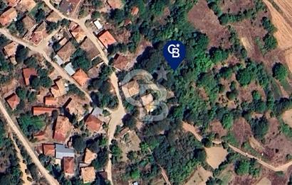  SATILIK 4.417 m² TARLA – SÖĞÜTÇÜK KÖYÜ / GÖLPAZARI / BİLECİK 