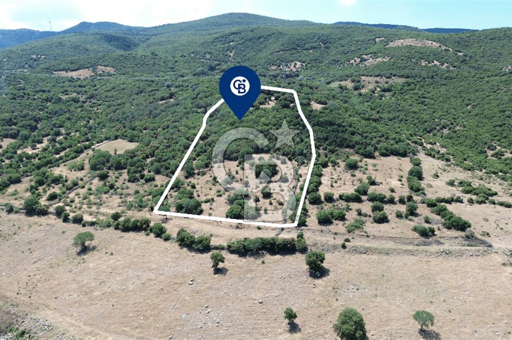 ALİAĞA ÇITAK'TA (8487 M2) SATILIK TARLA