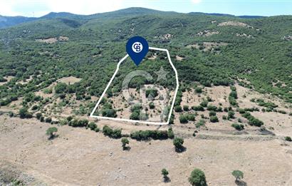 ALİAĞA ÇITAK'TA (8487 M2) SATILIK TARLA