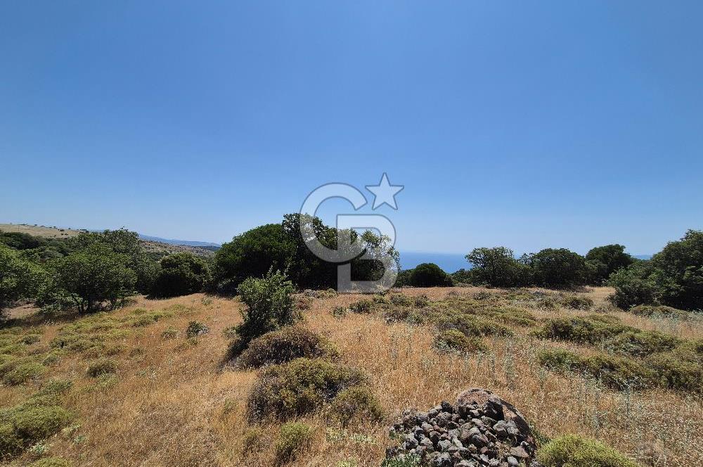 ÇANAKKALE ASSOS- PANORAMİK DENİZ MANZARALI 9 DÖNÜM SATILIK ARAZİ