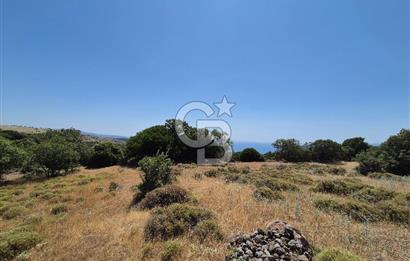 ÇANAKKALE ASSOS- PANORAMİK DENİZ MANZARALI 9 DÖNÜM SATILIK ARAZİ