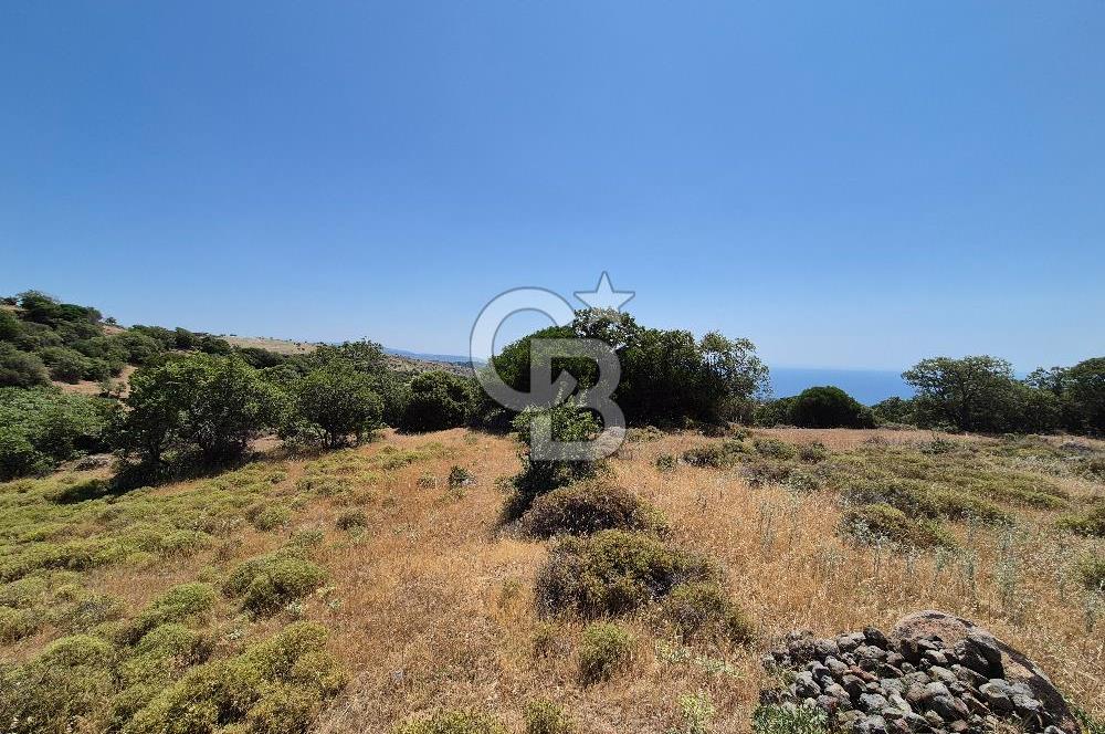 ÇANAKKALE ASSOS- PANORAMİK DENİZ MANZARALI 9 DÖNÜM SATILIK ARAZİ