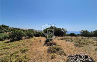 ÇANAKKALE ASSOS- PANORAMİK DENİZ MANZARALI 9 DÖNÜM SATILIK ARAZİ