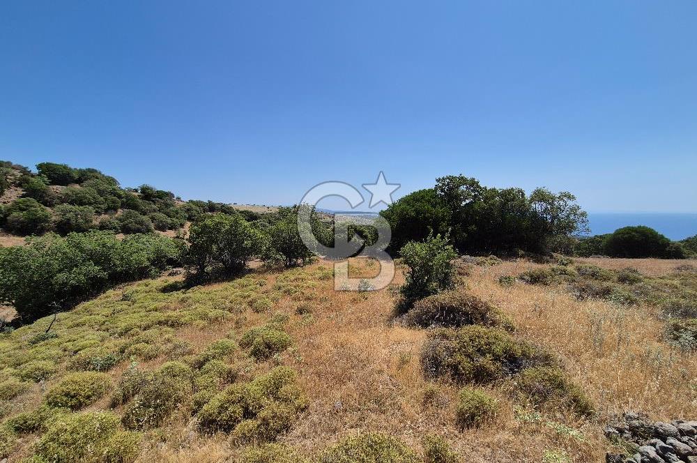 ÇANAKKALE ASSOS- PANORAMİK DENİZ MANZARALI 9 DÖNÜM SATILIK ARAZİ