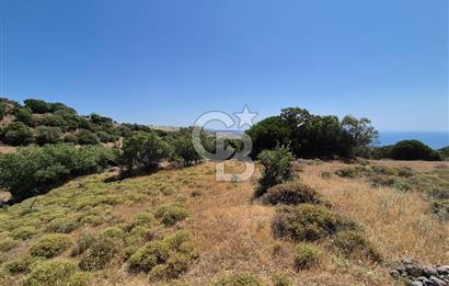 ÇANAKKALE ASSOS- PANORAMİK DENİZ MANZARALI 9 DÖNÜM SATILIK ARAZİ