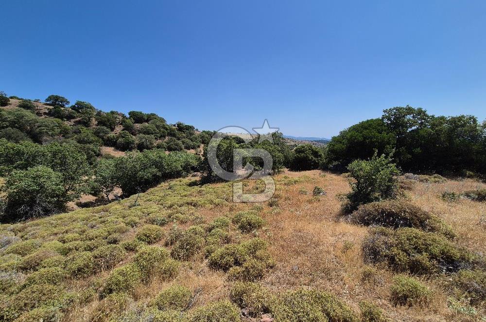 ÇANAKKALE ASSOS- PANORAMİK DENİZ MANZARALI 9 DÖNÜM SATILIK ARAZİ