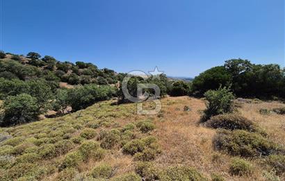 ÇANAKKALE ASSOS- PANORAMİK DENİZ MANZARALI 9 DÖNÜM SATILIK ARAZİ