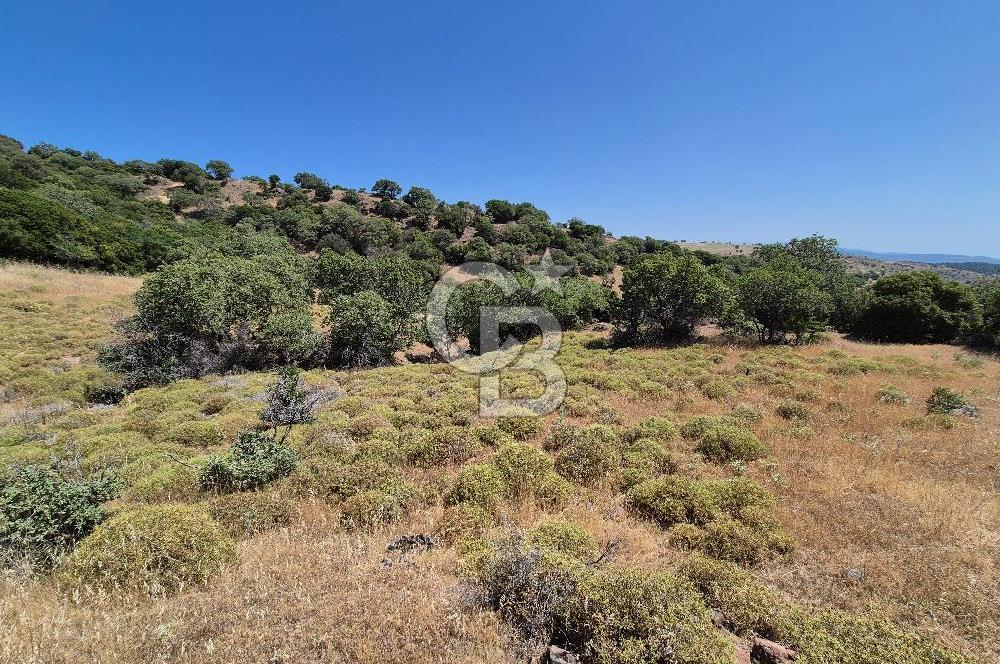 ÇANAKKALE ASSOS- PANORAMİK DENİZ MANZARALI 9 DÖNÜM SATILIK ARAZİ
