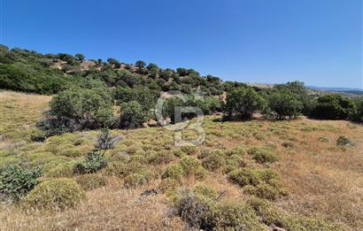 ÇANAKKALE ASSOS- PANORAMİK DENİZ MANZARALI 9 DÖNÜM SATILIK ARAZİ