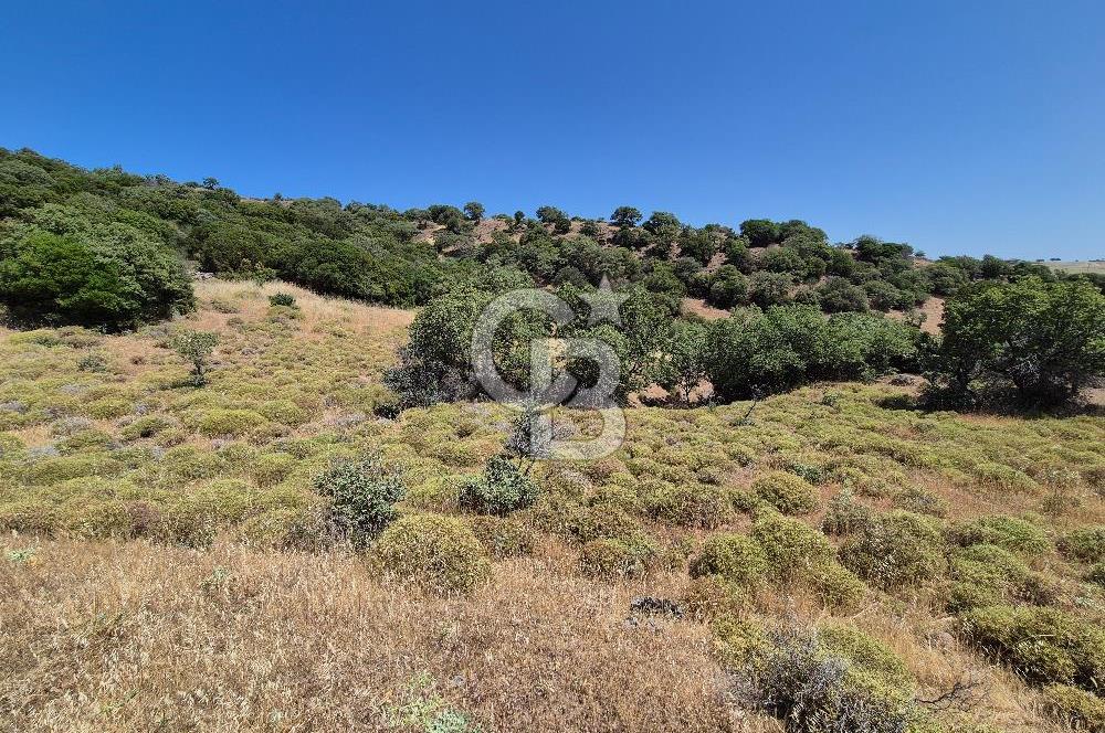ÇANAKKALE ASSOS- PANORAMİK DENİZ MANZARALI 9 DÖNÜM SATILIK ARAZİ