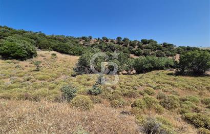 ÇANAKKALE ASSOS- PANORAMİK DENİZ MANZARALI 9 DÖNÜM SATILIK ARAZİ