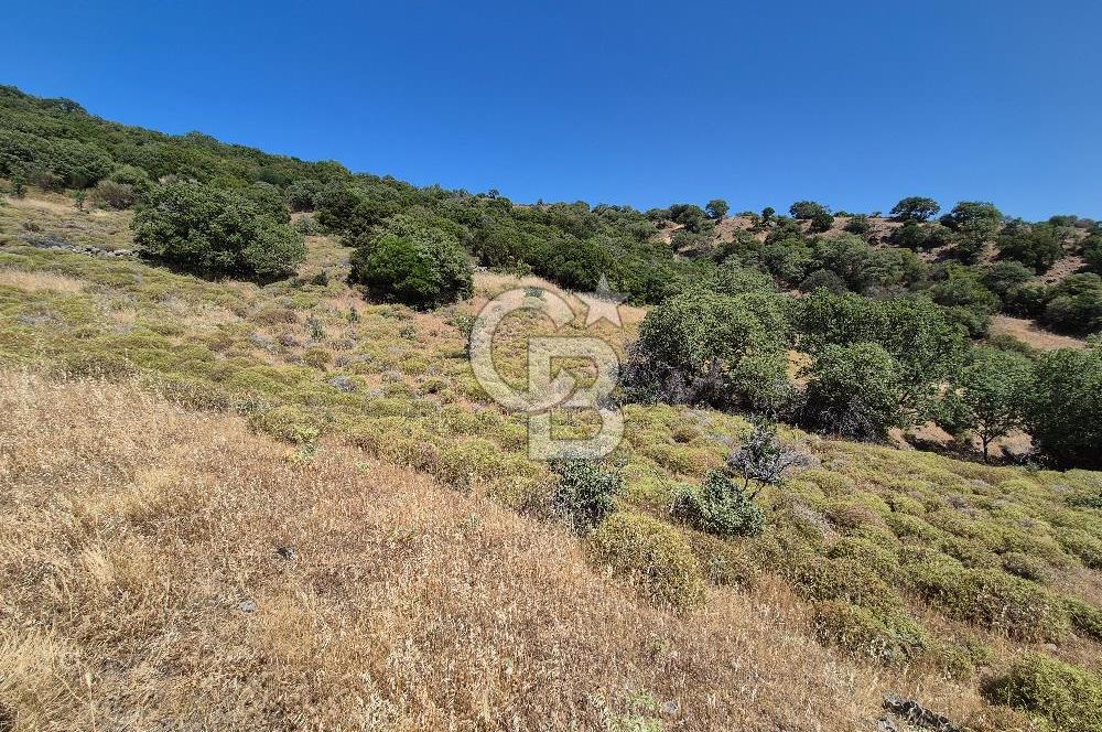 ÇANAKKALE ASSOS- PANORAMİK DENİZ MANZARALI 9 DÖNÜM SATILIK ARAZİ