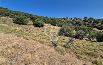 ÇANAKKALE ASSOS- PANORAMİK DENİZ MANZARALI 9 DÖNÜM SATILIK ARAZİ