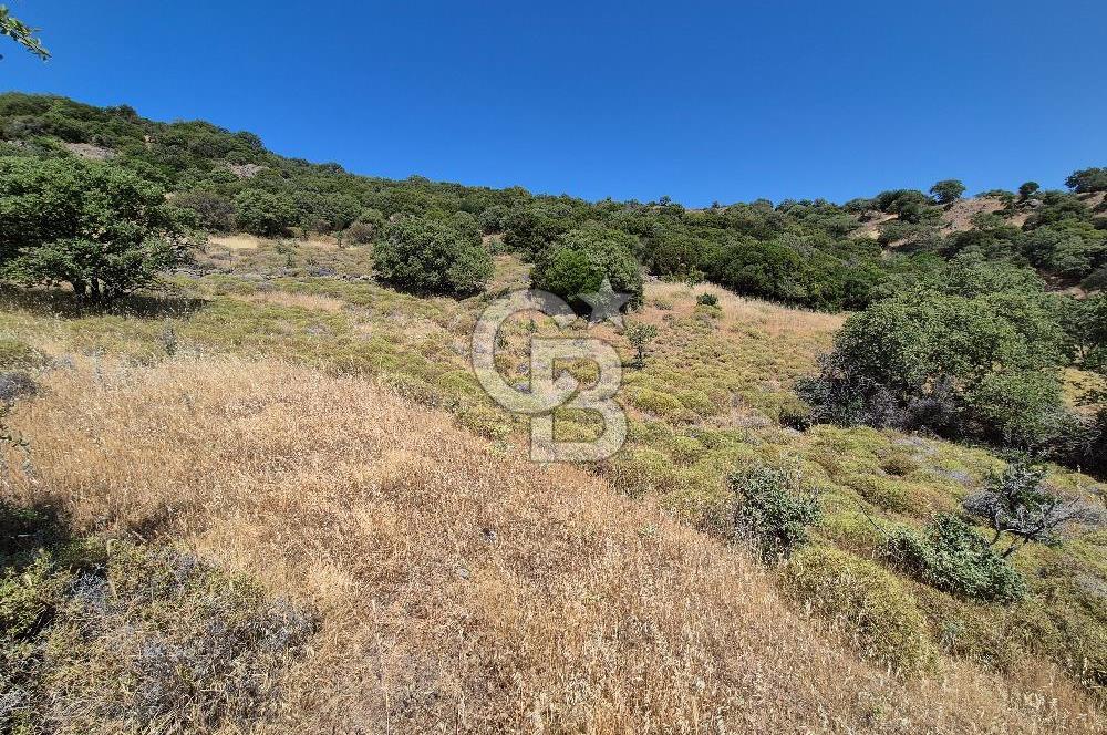 ÇANAKKALE ASSOS- PANORAMİK DENİZ MANZARALI 9 DÖNÜM SATILIK ARAZİ