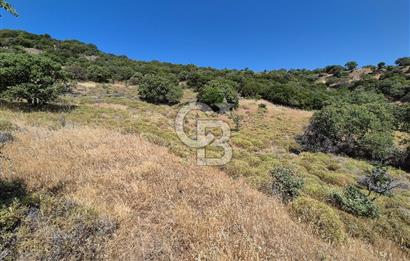 ÇANAKKALE ASSOS- PANORAMİK DENİZ MANZARALI 9 DÖNÜM SATILIK ARAZİ
