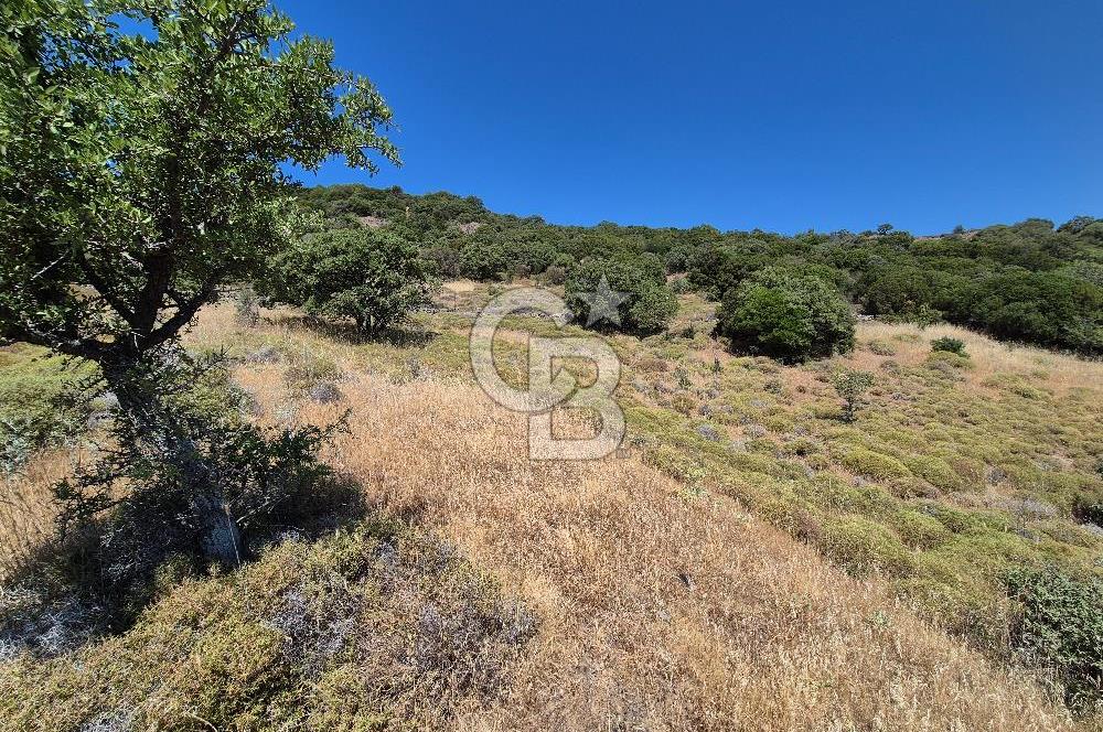 ÇANAKKALE ASSOS- PANORAMİK DENİZ MANZARALI 9 DÖNÜM SATILIK ARAZİ