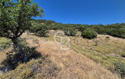 ÇANAKKALE ASSOS- PANORAMİK DENİZ MANZARALI 9 DÖNÜM SATILIK ARAZİ