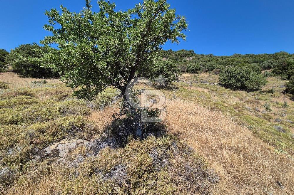 ÇANAKKALE ASSOS- PANORAMİK DENİZ MANZARALI 9 DÖNÜM SATILIK ARAZİ