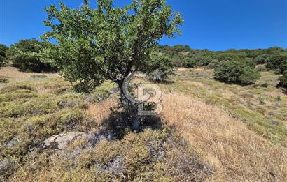 ÇANAKKALE ASSOS- PANORAMİK DENİZ MANZARALI 9 DÖNÜM SATILIK ARAZİ