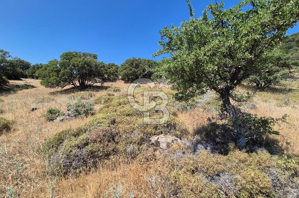 ÇANAKKALE ASSOS- PANORAMİK DENİZ MANZARALI 9 DÖNÜM SATILIK ARAZİ